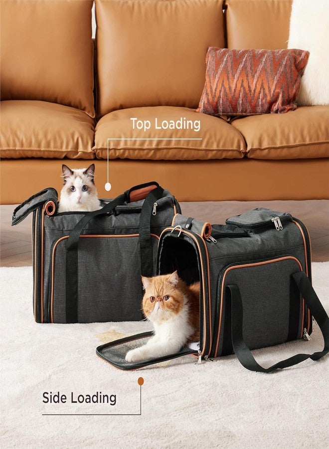 Glaceon Approved Pet Carrier - Expandable Cat Carrier, Travel Pet Carriers for Small Dogs, Soft-Sided Pet Carriers with Pad - Image 3